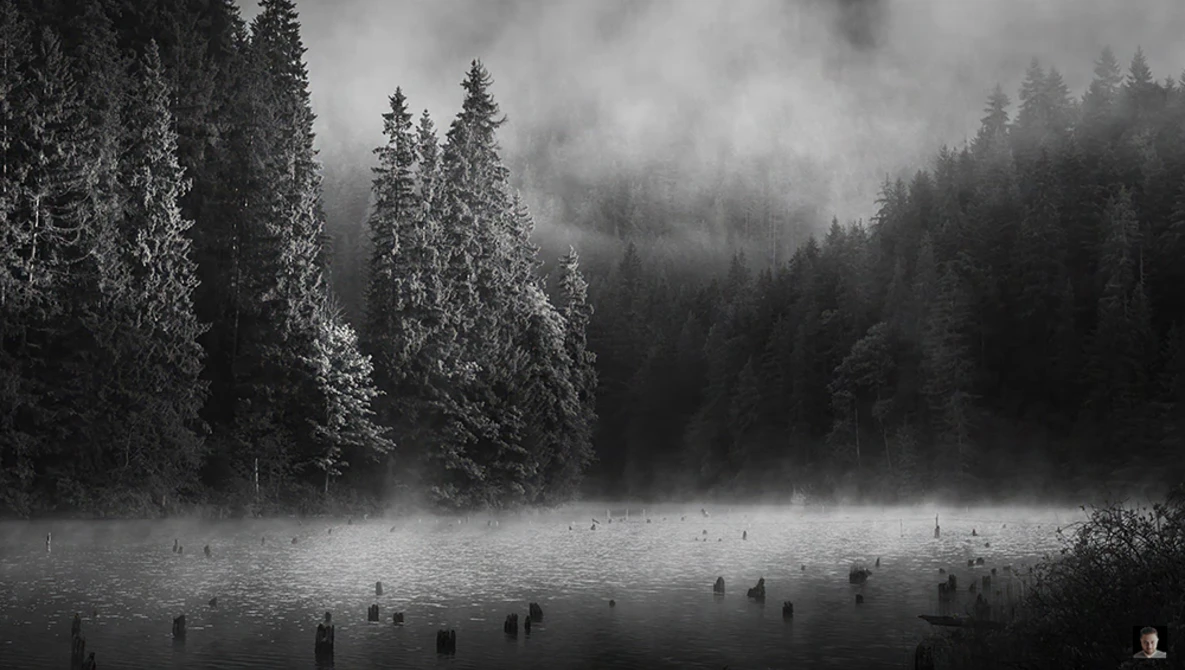 Misty lake with evergreen forest and wooden posts emerging from water in black and white.