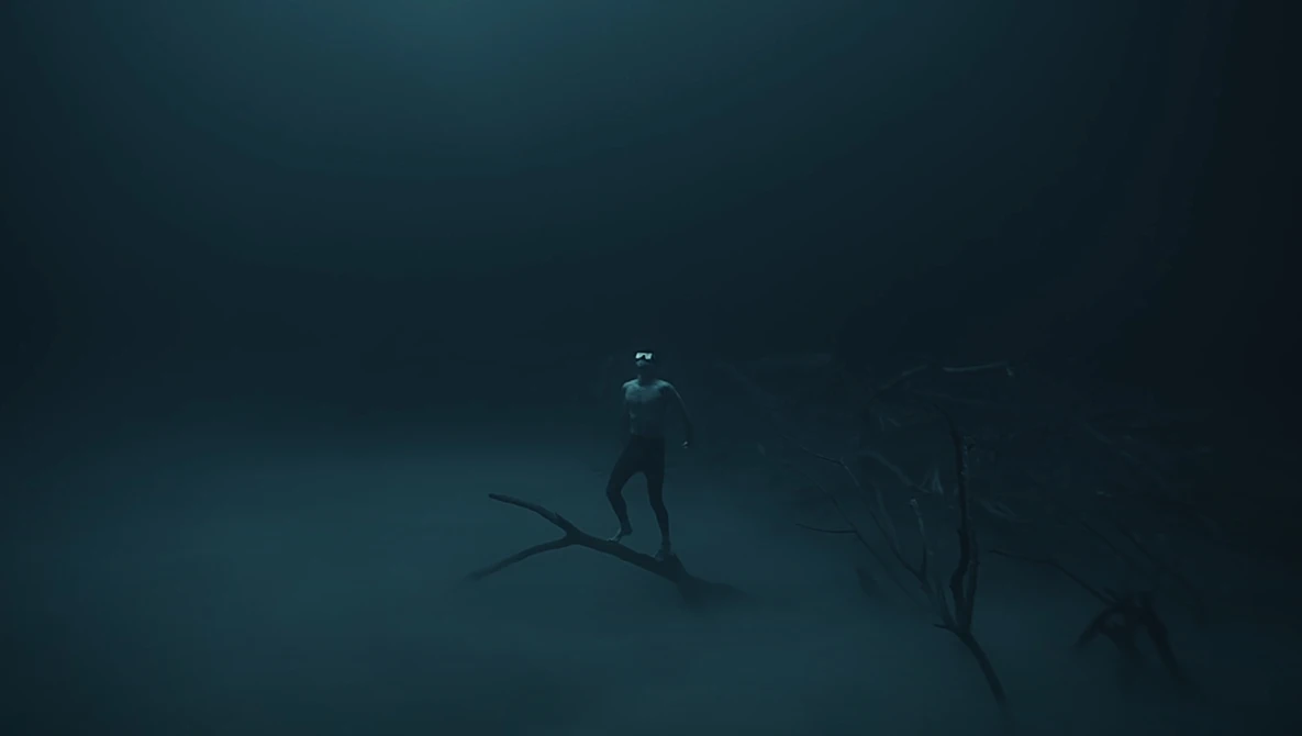 Underwater scene with freediver in wetsuit swimming above silhouetted branches on dark seabed.