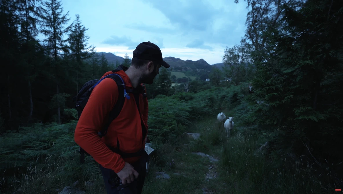 Hiker in red jacket pauses on a trail at dusk, looking toward grazing sheep in a misty valley below.