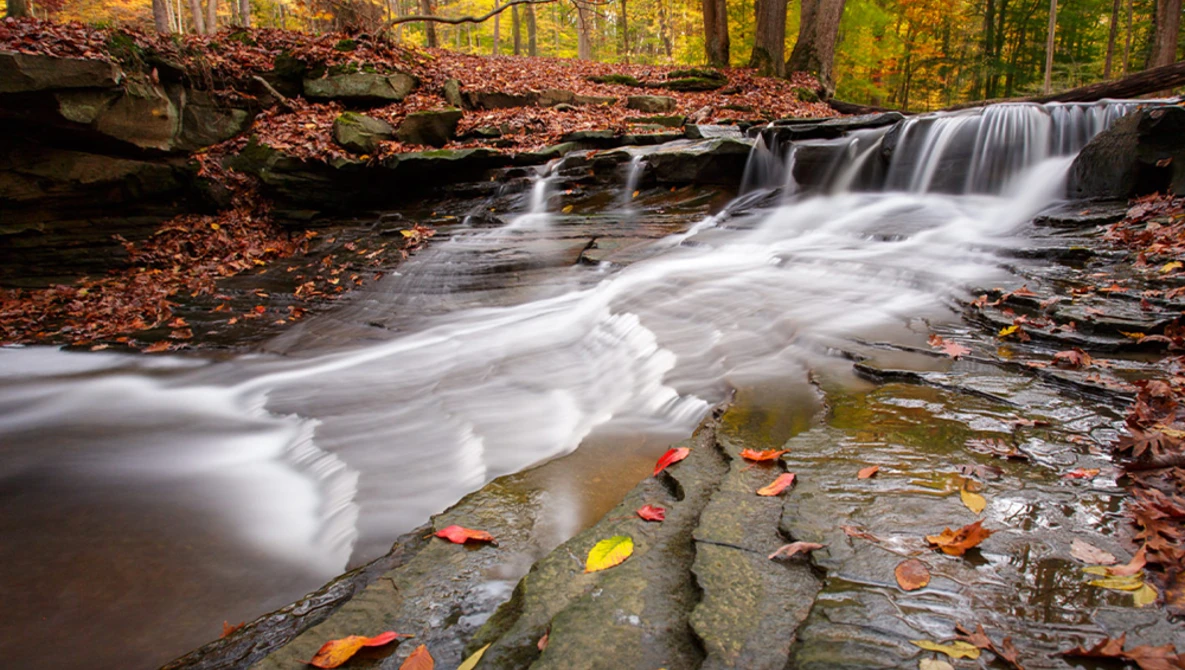 Cascading waterfall with silky water flow over layered rocks, autumn leaves scattered on wet stone surface.