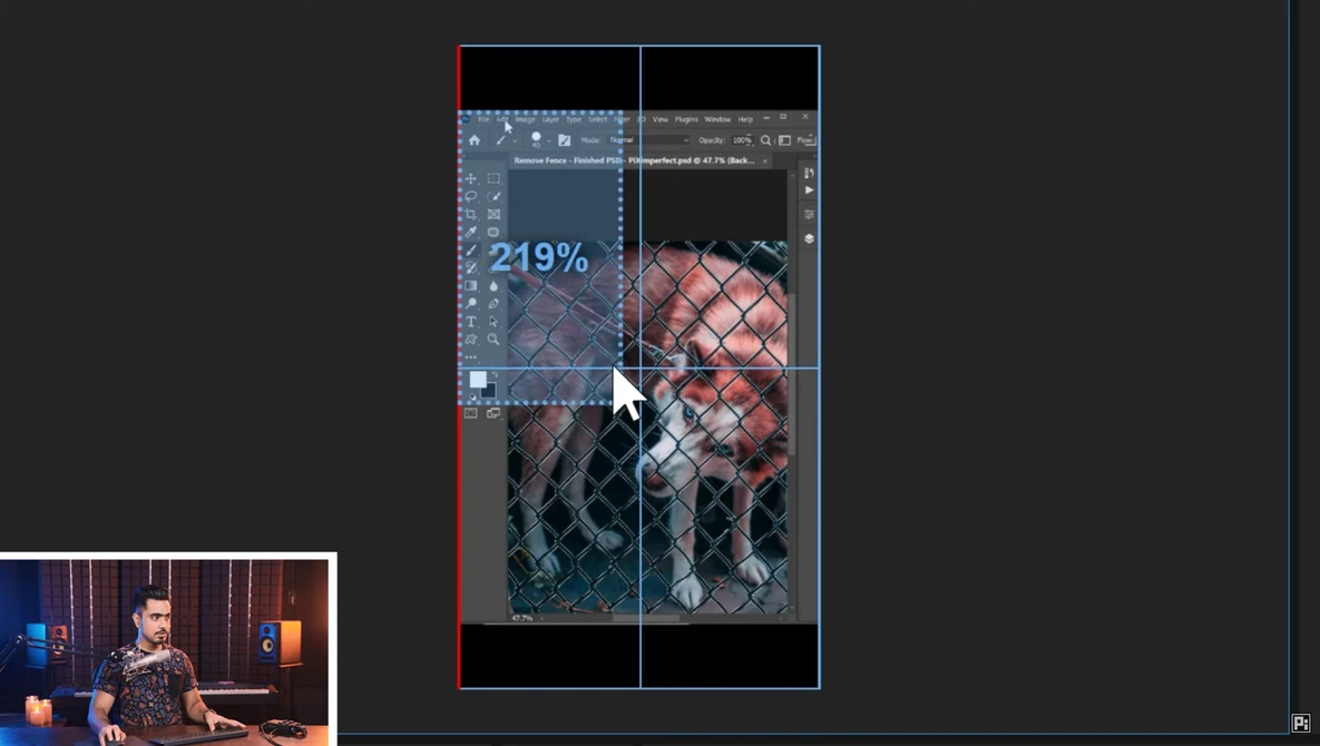 Screenshot of photo editing software showing a zoomed view at 219% with a portrait image of a person displayed across multiple panels.