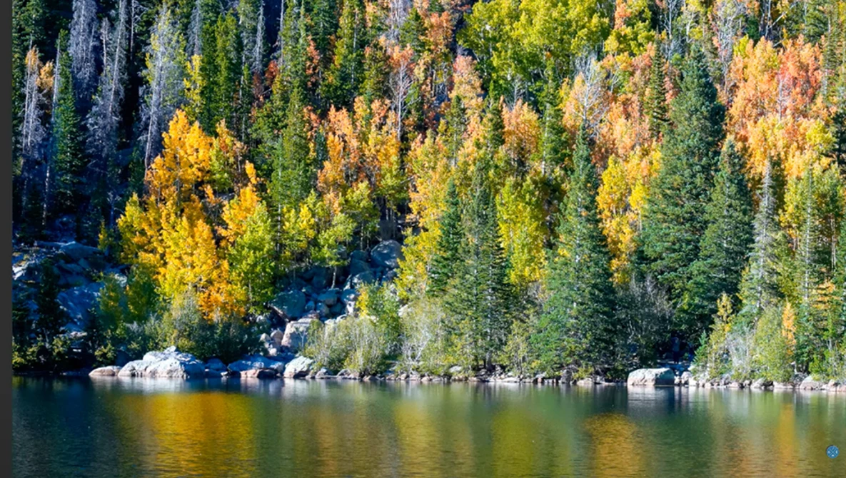 Autumn forest reflected in calm lake water, with golden larch and evergreen trees along rocky shoreline.