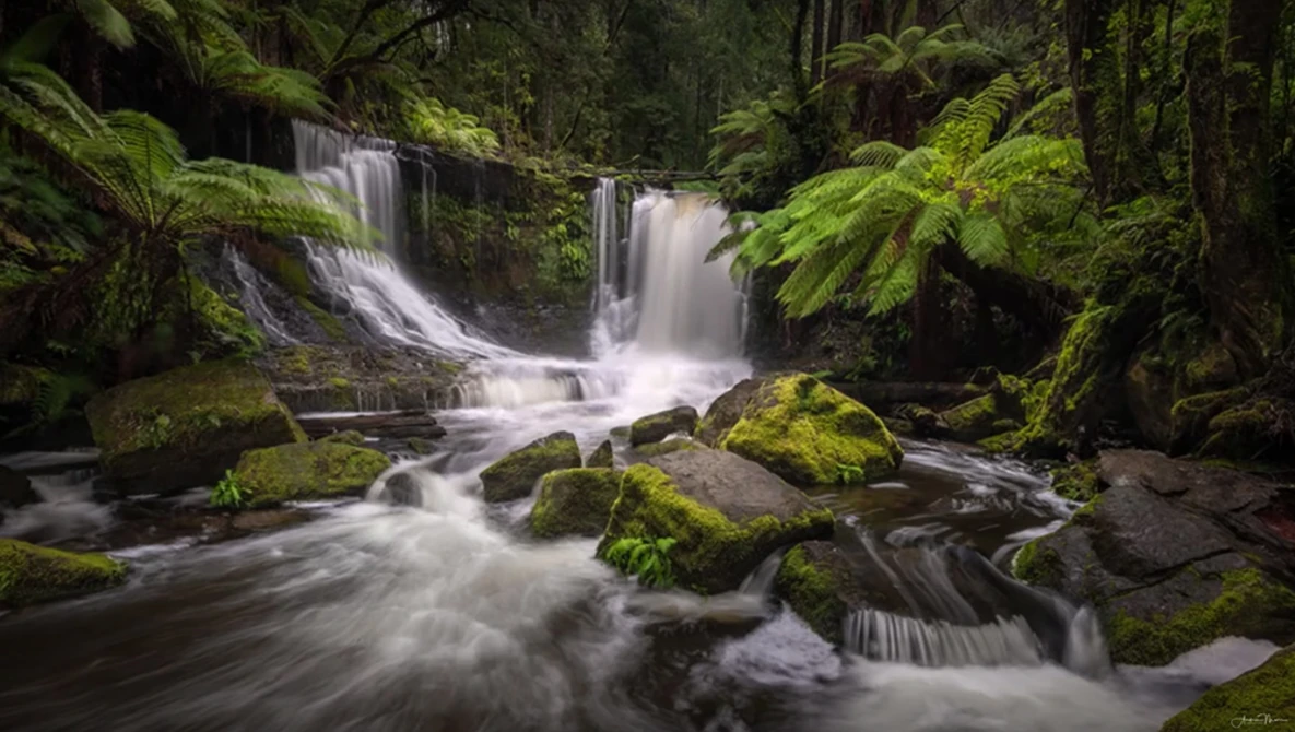 Cascading waterfall flowing through a moss-covered forest with boulders and lush green vegetation.