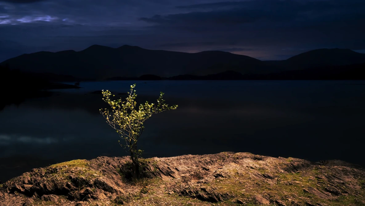 Illuminated tree standing alone on rocky terrain beside a dark lake at dusk, mountains silhouetted against twilight sky.