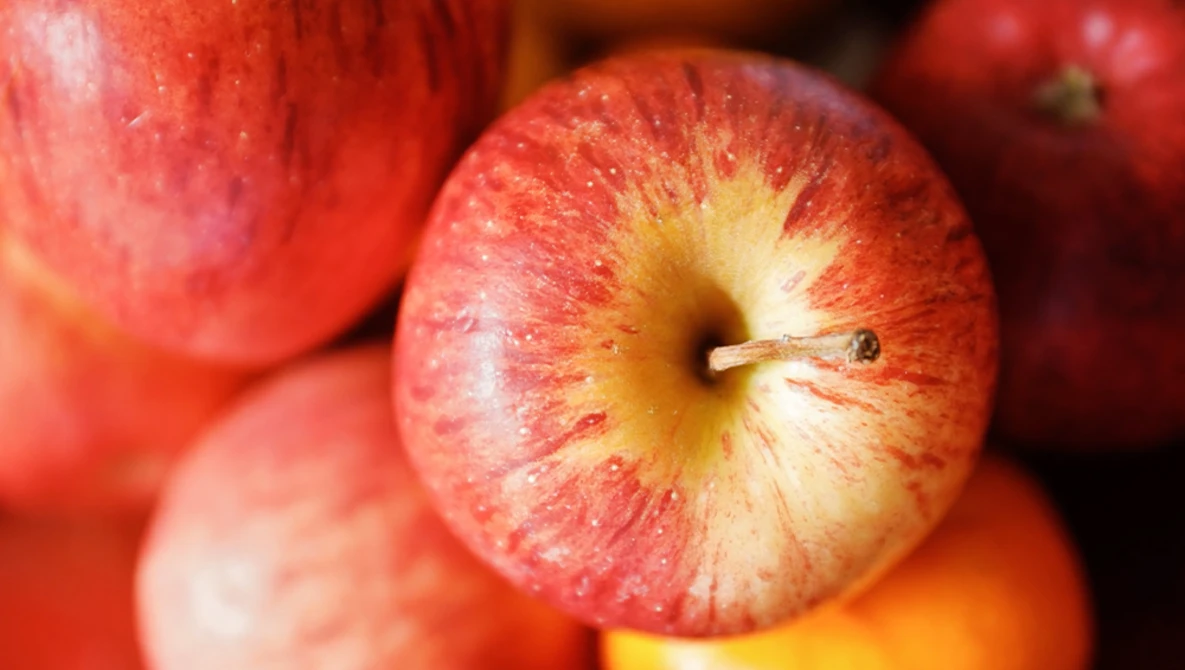 Close-up of red apples with yellow undertones and visible stems, arranged tightly together.