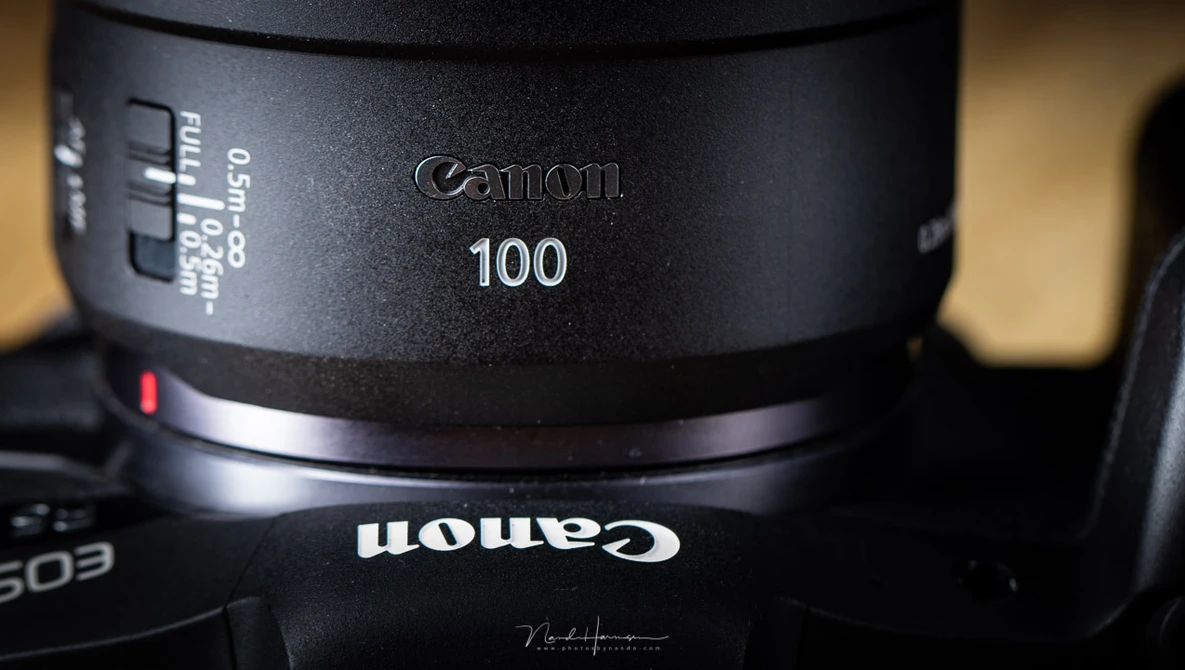 Review of the Canon RF 100mm f/2.8L IS USM Macro Lens | Fstoppers
