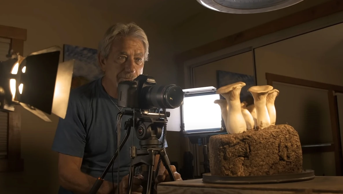 Photographer operating a cinema camera on tripod while filming Egyptian statue busts with professional lighting setup.