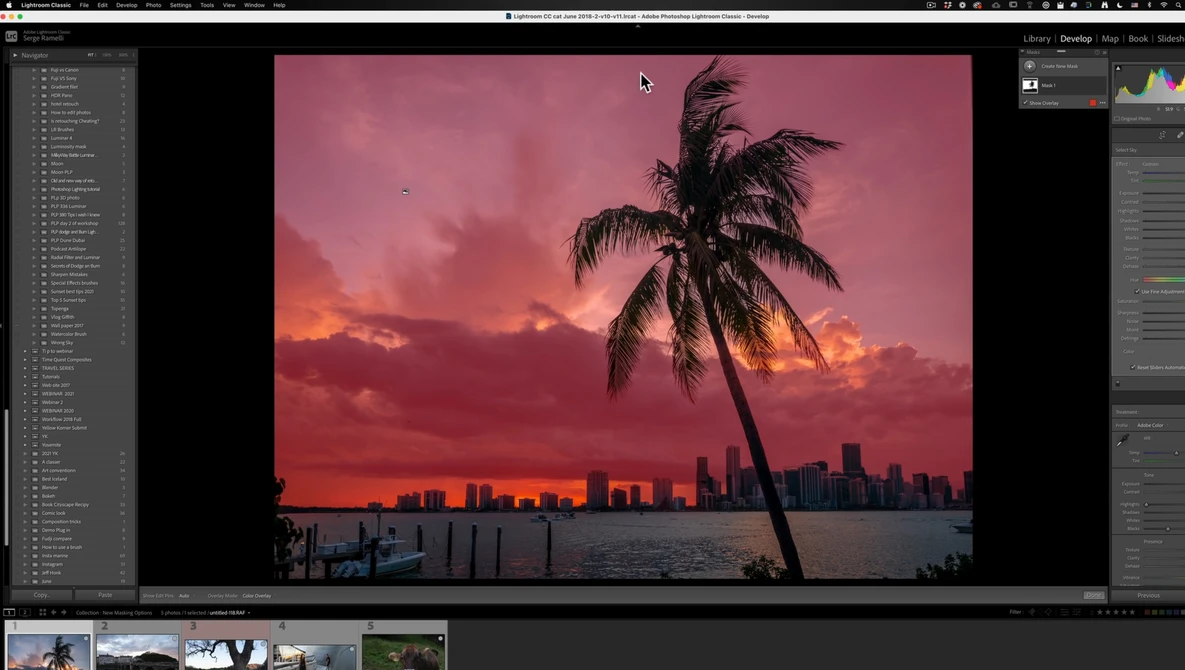 Palm tree silhouette against vibrant magenta and orange sunset sky with city skyline reflected in water.