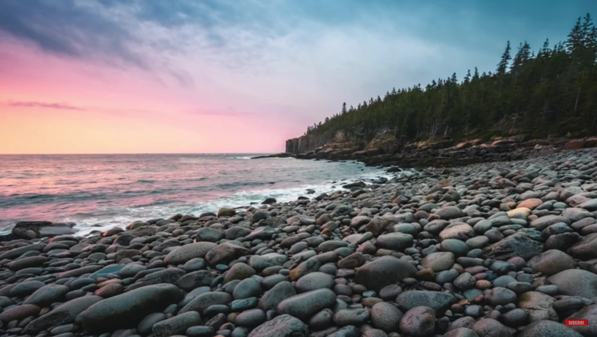 Rocky coastline at sunset with evergreen forest and calm ocean waters reflecting pink sky.