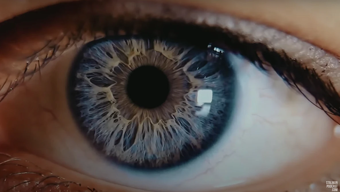 Close-up macro photograph of a human eye with blue-gray iris and detailed radial striations.