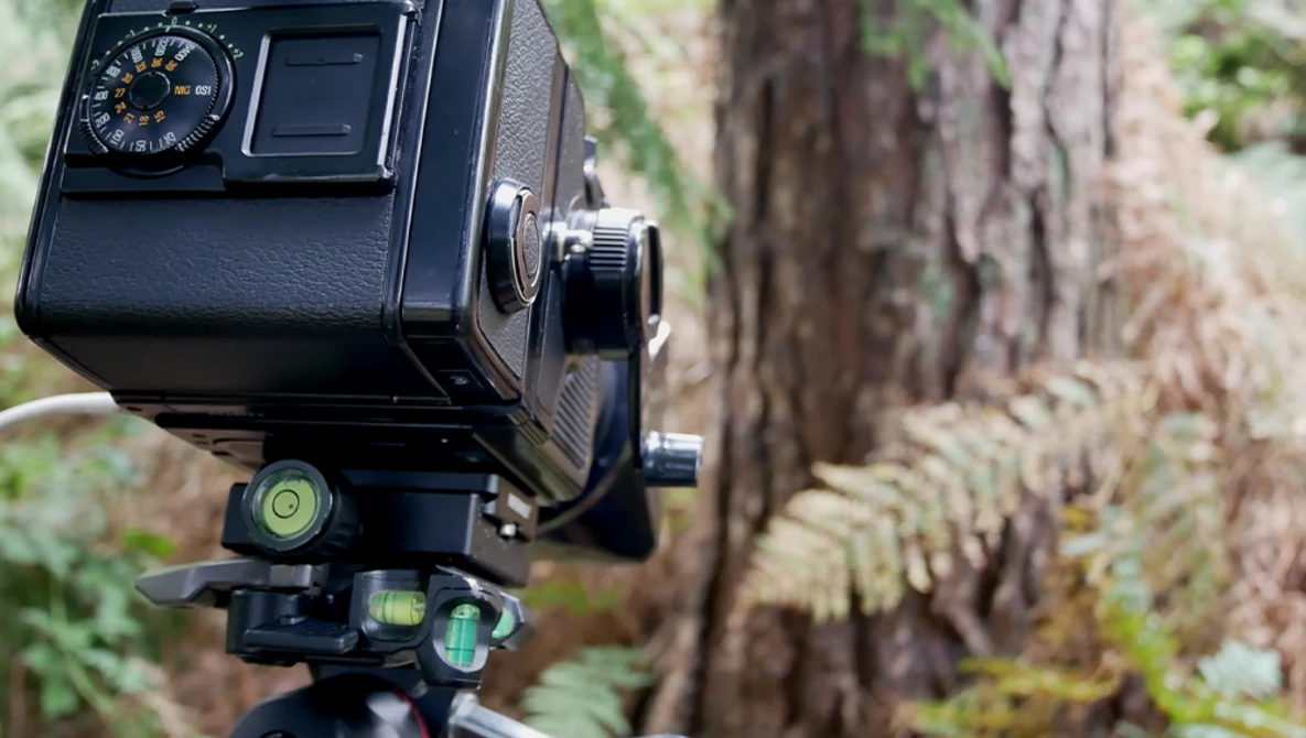 Medium format camera mounted on tripod with spirit levels visible, positioned in front of weathered tree bark in forest setting.
