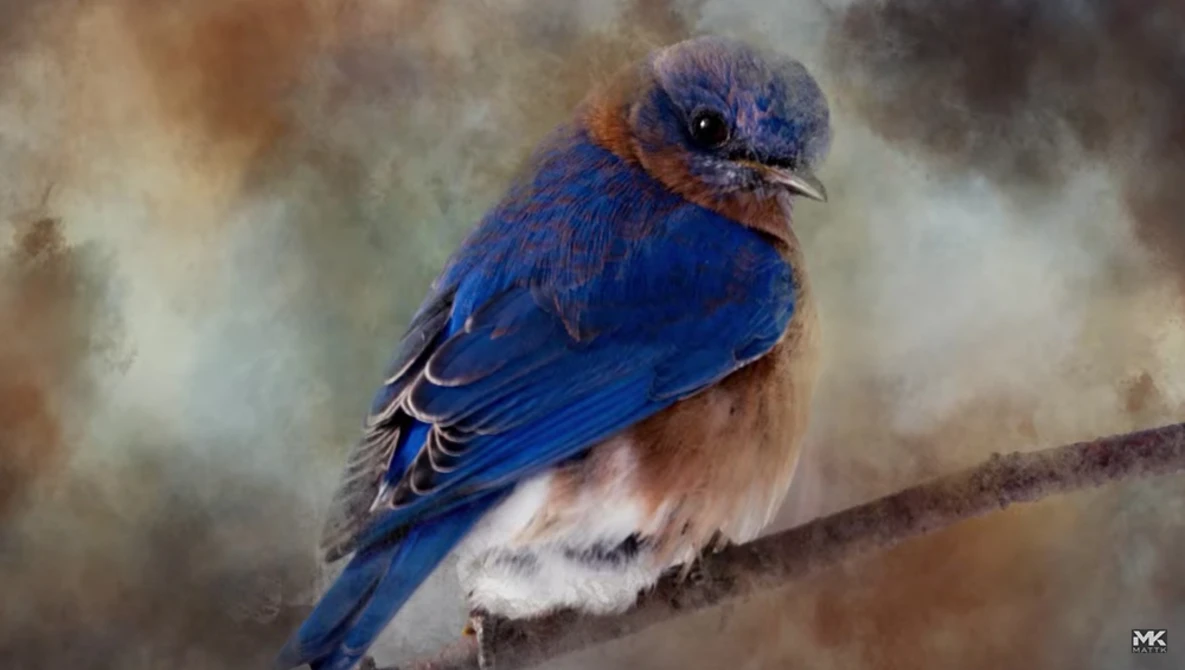 Illustration of an Eastern Bluebird perched on a branch, rendered in digital painting style.