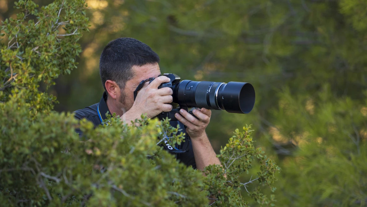 Photographer holding telephoto lens while partially concealed in green foliage, composing a shot.