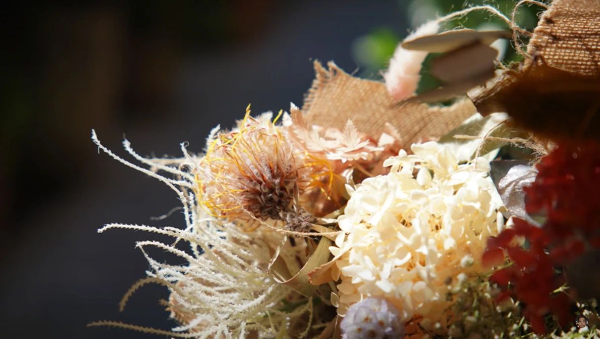 Spiky seed pod with delicate white flower clusters in sharp focus against blurred background.