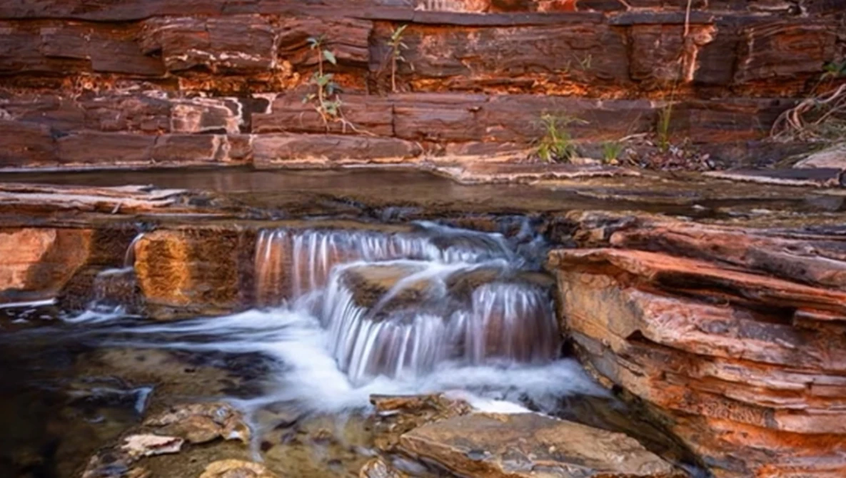 Cascading waterfall flowing over layered rock formations surrounded by fallen logs.
