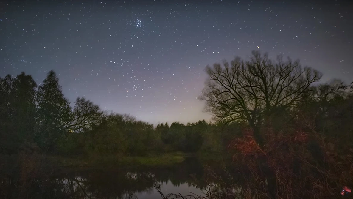 Starry night sky above a still pond surrounded by bare and evergreen trees.