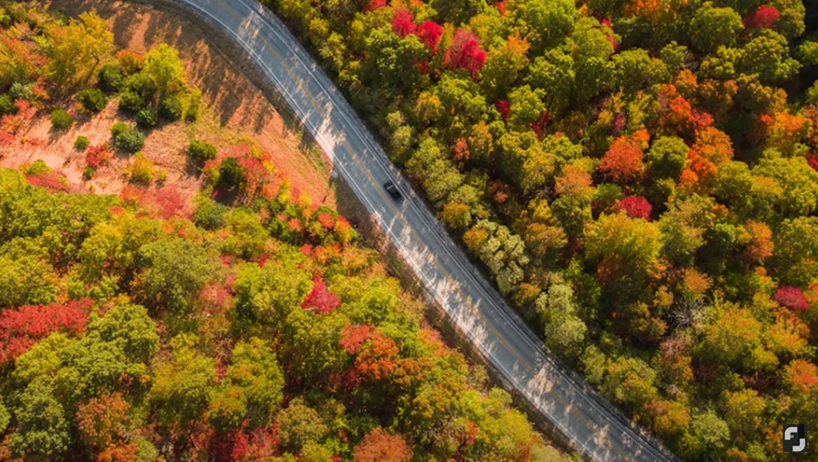 Aerial view of a curved road cutting through autumn forest with vibrant red, orange, and yellow foliage.