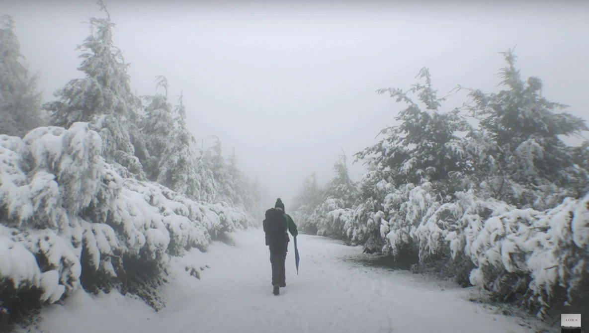 Solitary figure jogging through a snow-covered evergreen forest in heavy fog.