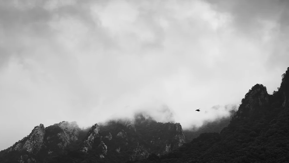 Misty mountain peaks shrouded in low clouds beneath an overcast sky.
