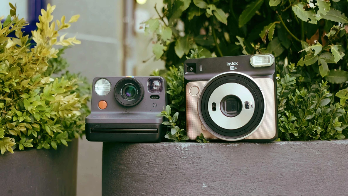 Two instant cameras displayed side-by-side on a concrete ledge surrounded by green foliage.