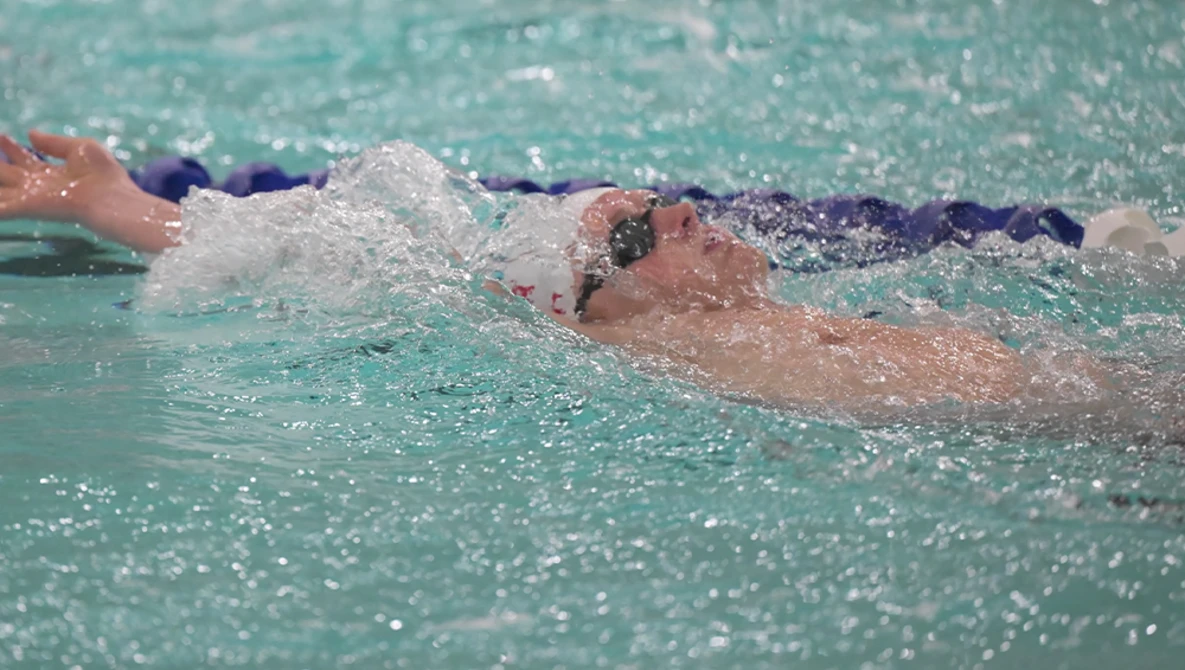 Competitive swimmers performing freestyle strokes during a race in a pool with turquoise water.
