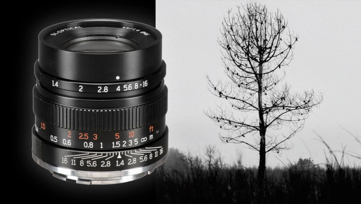 Vintage manual focus lens with aperture and focus rings displayed alongside bare tree in overcast landscape.
