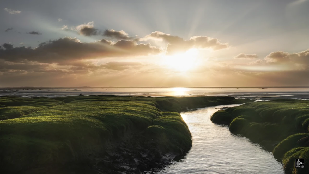Meandering river cutting through verdant coastal plains at golden hour beneath dramatic clouds.