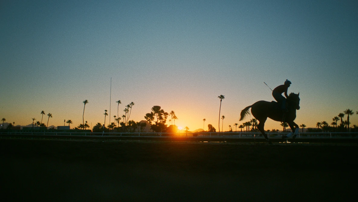 Silhouetted horse and rider on a training track at sunset surrounded by tall palm trees.
