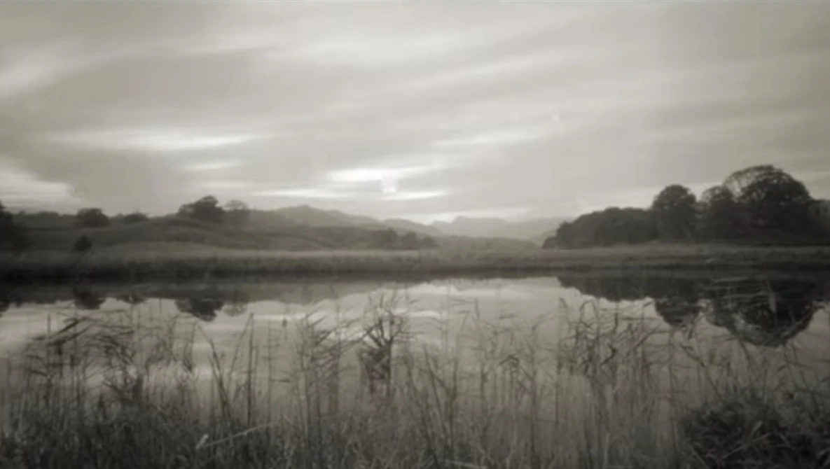 Black and white landscape of a still water body with reeds in foreground, bare trees along distant shoreline, and overcast sky.