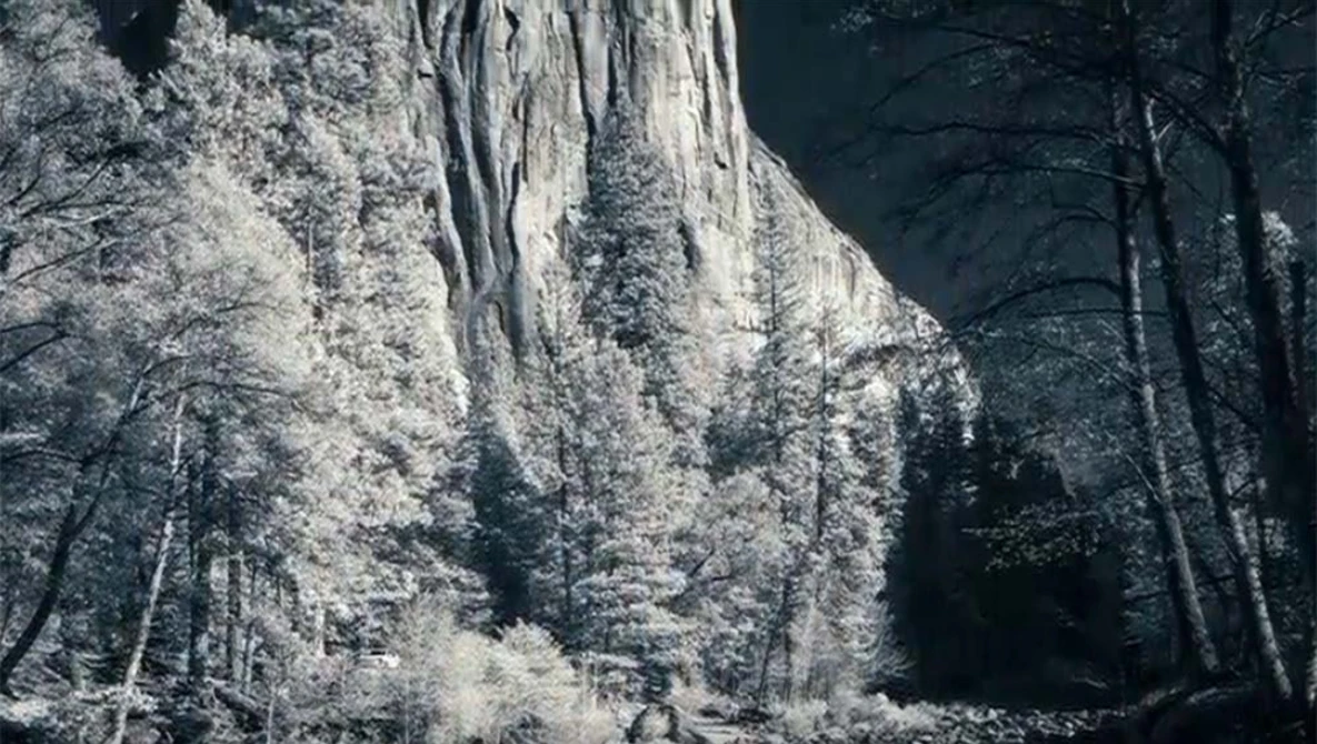 Towering granite cliff face rises above a dense coniferous forest with dramatic vertical striations.