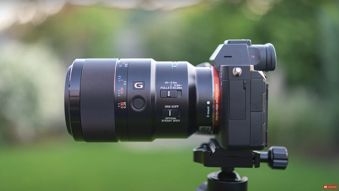 Sony mirrorless camera with large telephoto lens mounted on tripod against blurred green background.
