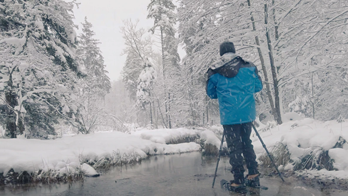 Cross-country skier in blue jacket gliding on snow-covered frozen stream surrounded by frost-laden evergreen forest.