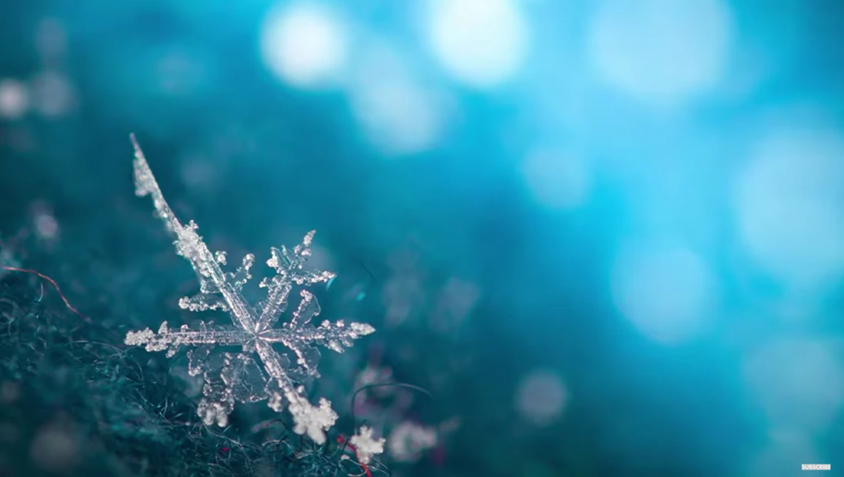 Intricately detailed ice crystal with geometric branching patterns against a blue bokeh background.