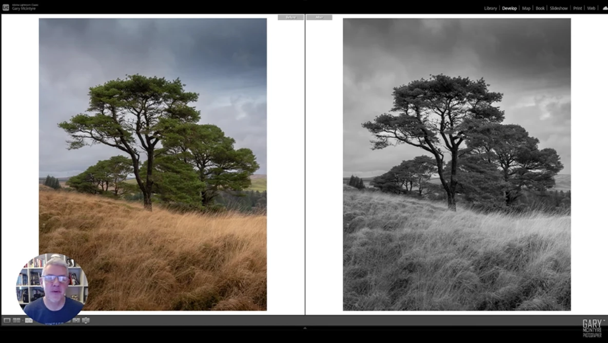 Acacia tree in golden grassland shown in color and black-and-white side-by-side comparison.