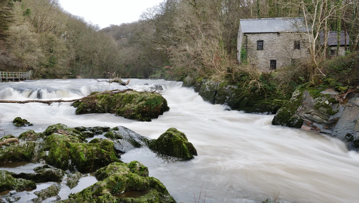 Fast-flowing river with moss-covered rocks and a stone mill building on the right bank surrounded by bare trees.
