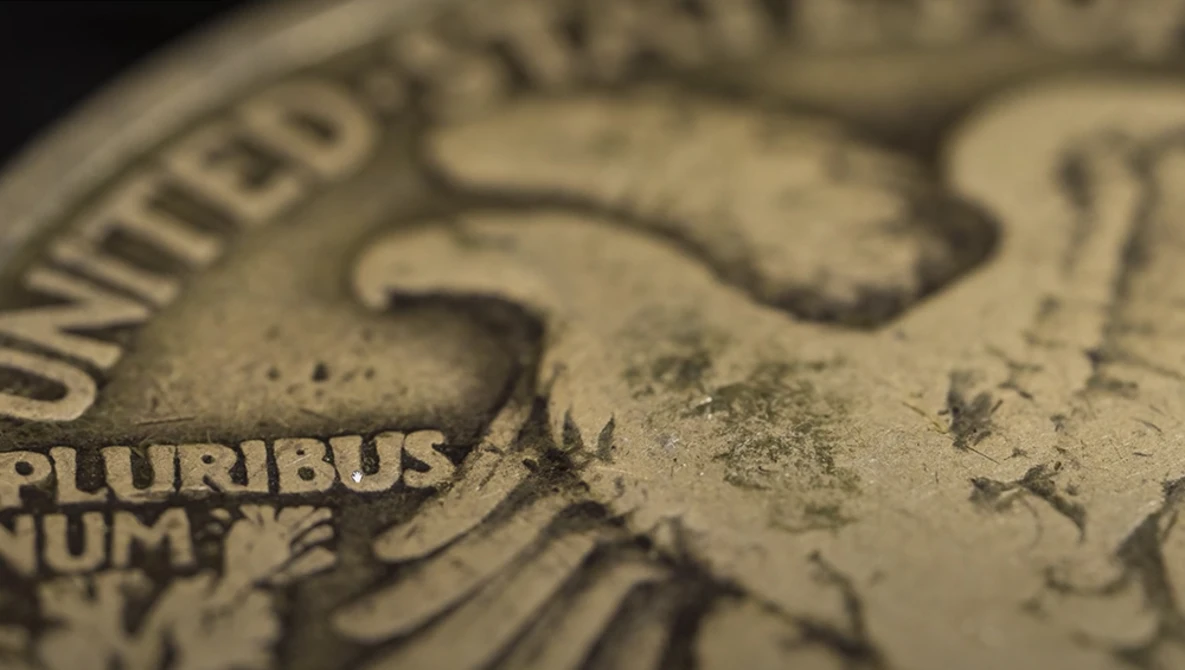 Close-up macro photograph of an U.S. dollar bill showing raised embossed text and numerical details with shallow depth of field.