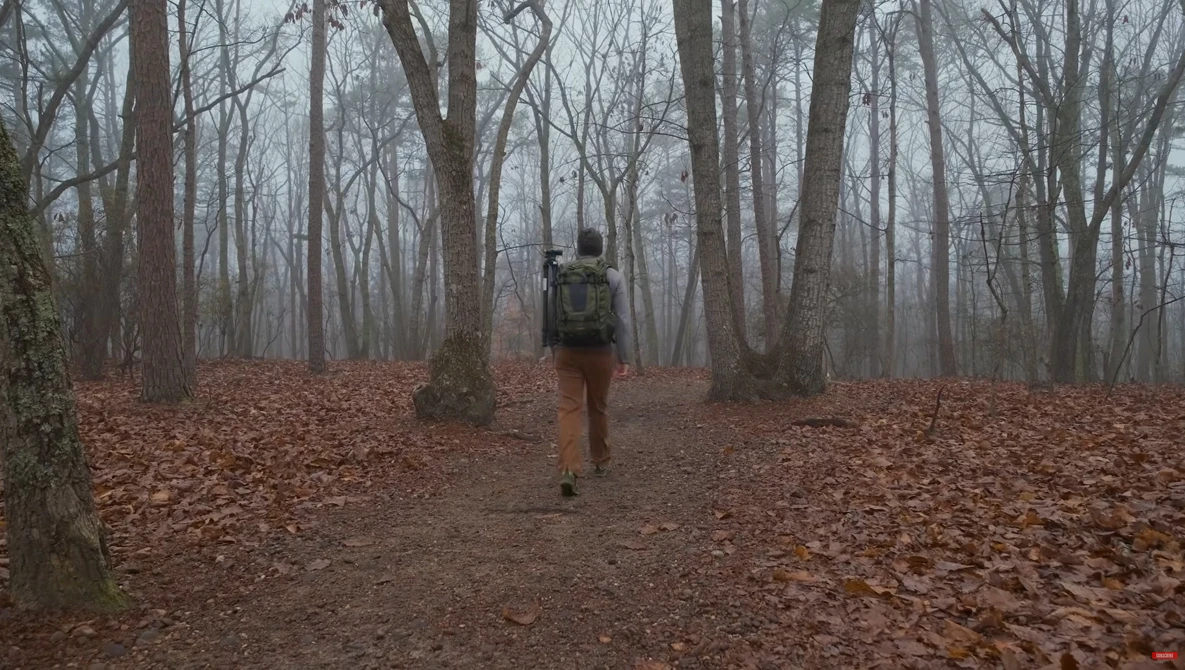 Trail runner jogging through a misty forest of bare deciduous trees covered in fallen leaves.