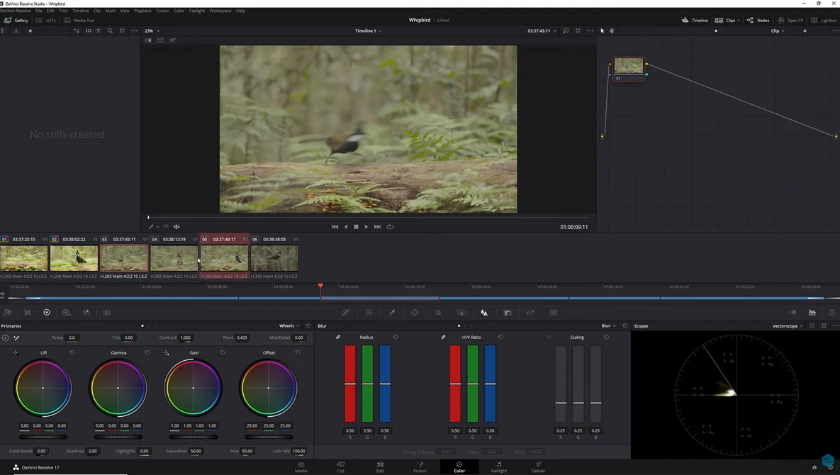 Screenshot of video editing software with color grading interface and forest scene footage.