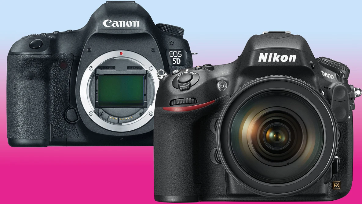 Happy 10th Birthday to the Canon 5D Mark III and the Nikon D800