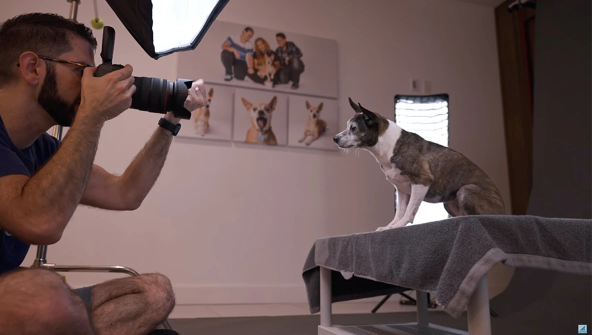 Photographer crouching while shooting a dog sitting on a couch with a camera and external flash.