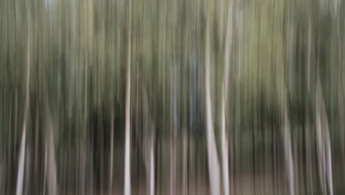 Vertical lines with motion blur effect creating an abstract forest-like pattern in muted greens and grays.
