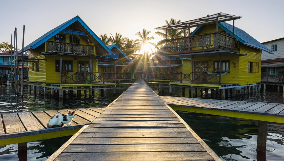 Symmetrical wooden boardwalk extending toward two bright yellow stilt houses with blue roofs flanking palm trees at sunrise.