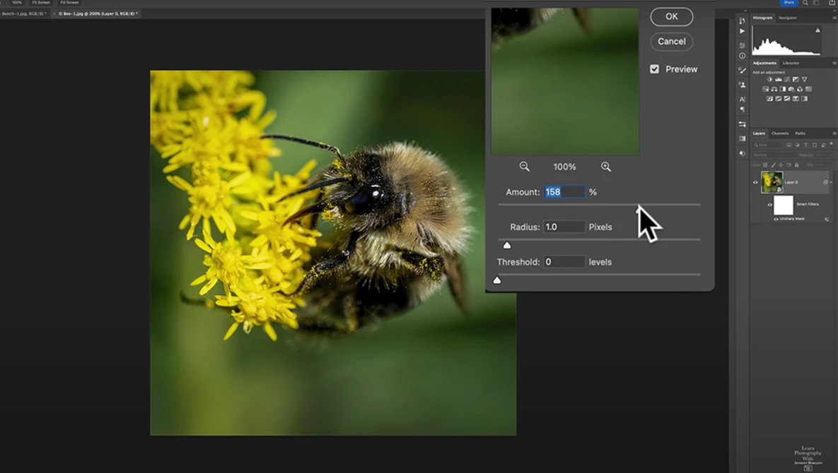 Bumblebee pollinating yellow flower with blurred green background in macro photography.