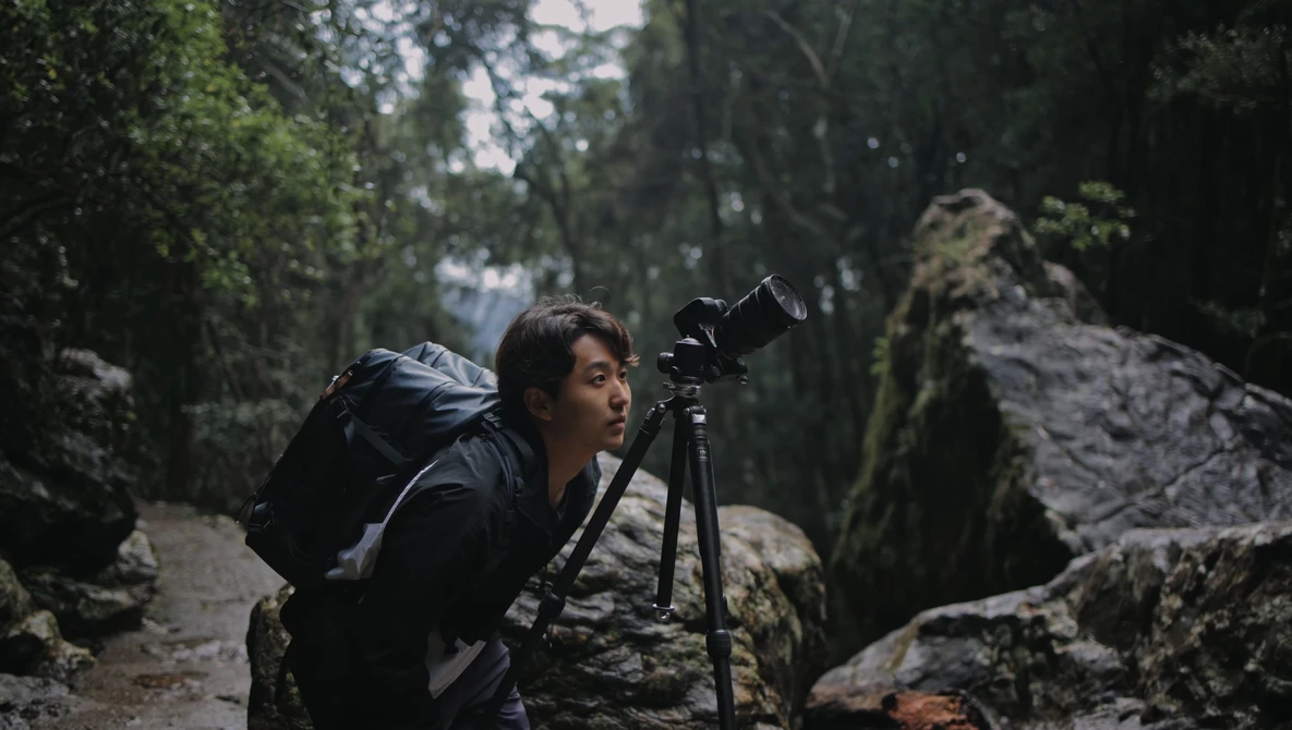 Photographer with backpack and tripod mounted camera on a forested trail surrounded by moss-covered rocks.