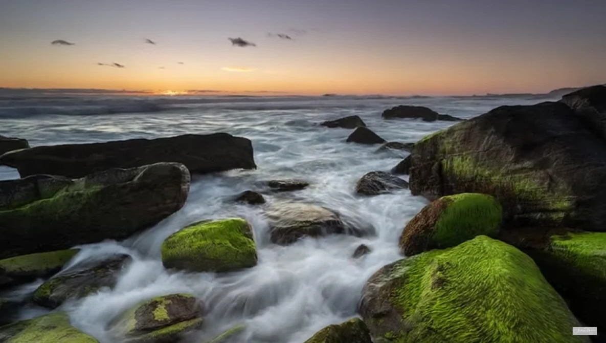 Moss-covered rocks in turbulent seawater at sunset with golden light on the horizon.