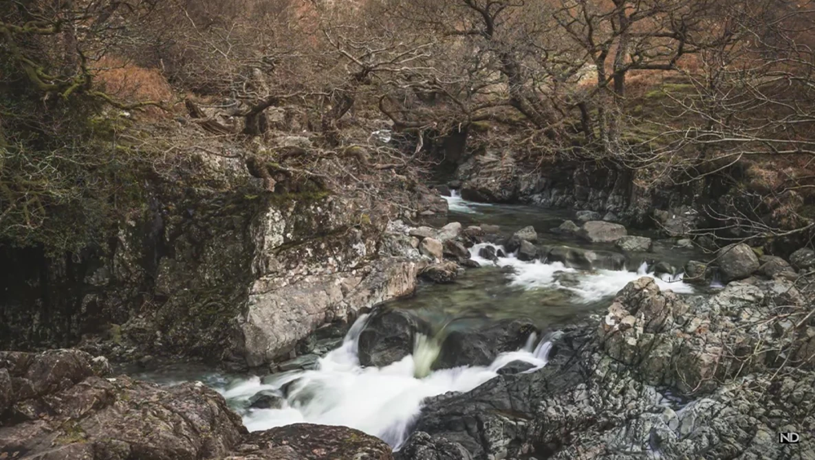 Fast-flowing river with white rapids cascading over dark rocks, surrounded by bare trees and moss-covered boulders.