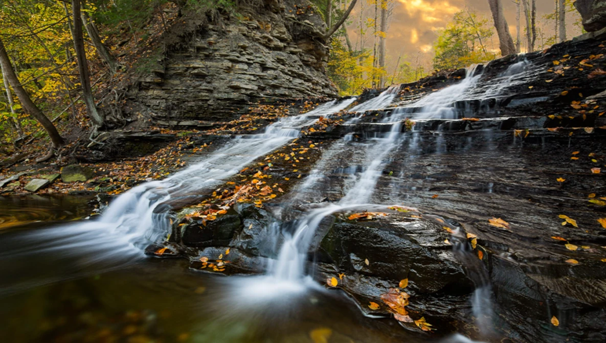 Cascading waterfall flowing over dark layered rock formations with golden autumn leaves scattered across the surface.