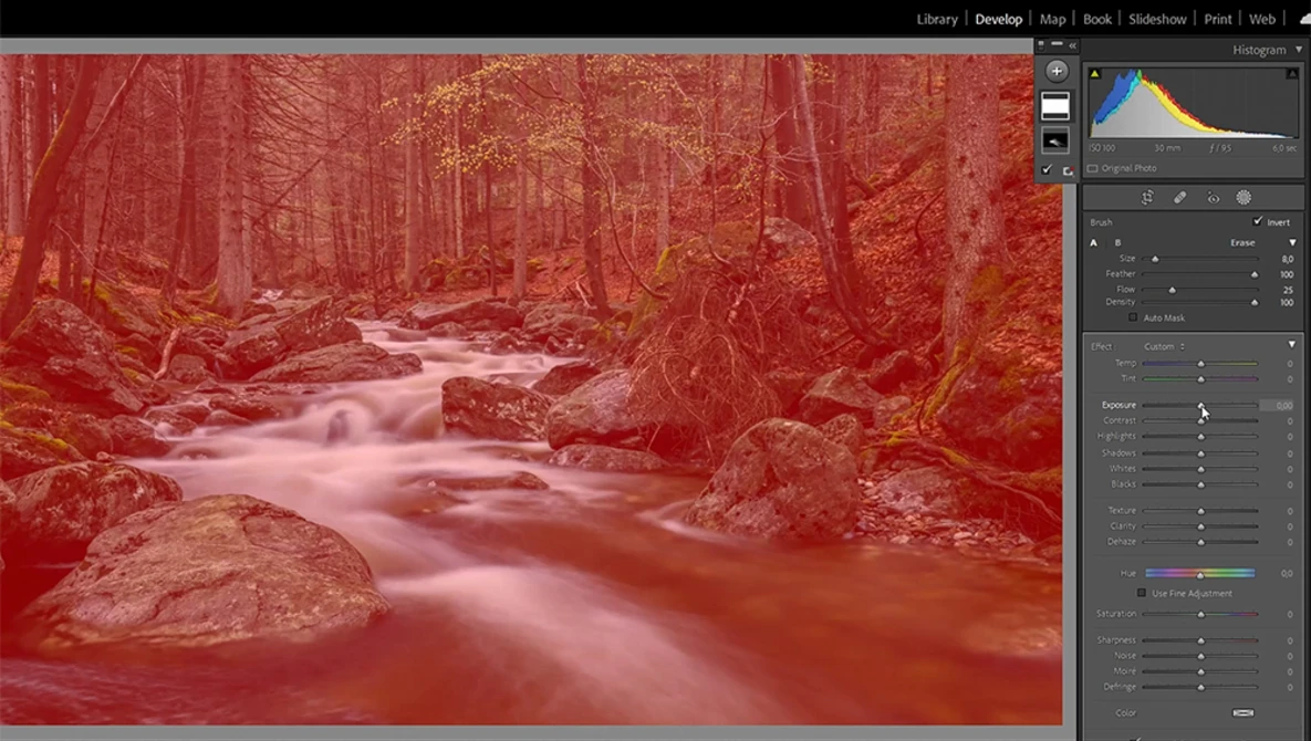 Screenshot of photo editing software displaying a forest stream with infrared color grading applied.