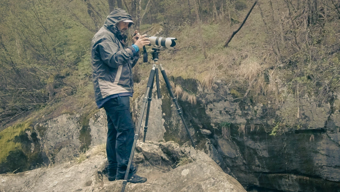 Photographer on rocky outcrop using telephoto lens mounted on tripod, woodland ravine in background.