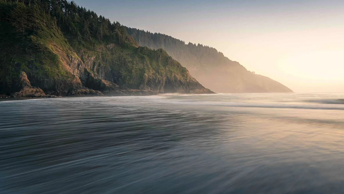 Misty coastal landscape with forested cliffs rising from calm water at sunrise.